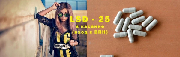 ПСИЛОЦИБИНОВЫЕ ГРИБЫ Зеленодольск