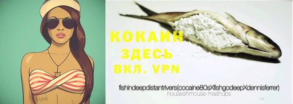 PSILOCYBIN Зерноград