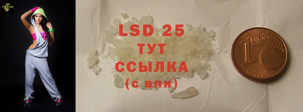 PSILOCYBIN Зерноград