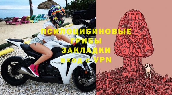 PSILOCYBIN Зерноград